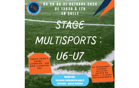 Stage Foot Toussaint pour U6-U7
